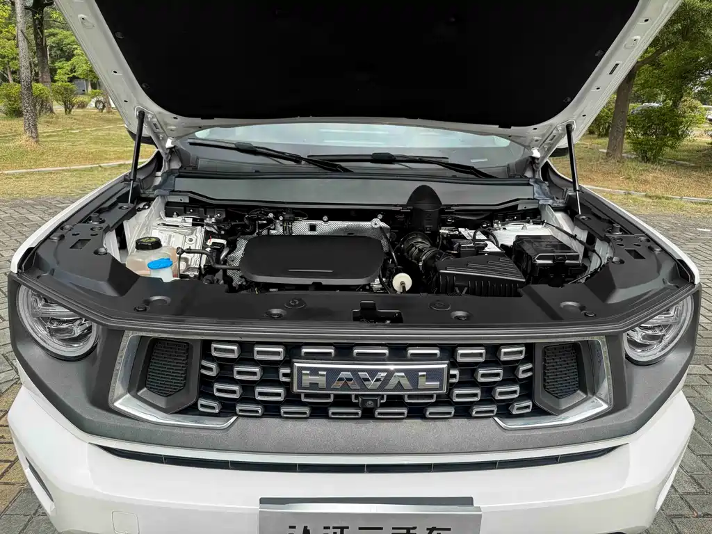 Haval Big Dog PLUS — миниатюра 18