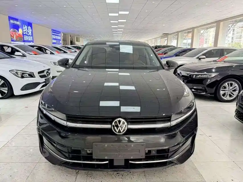 Volkswagen Magotan — миниатюра 2