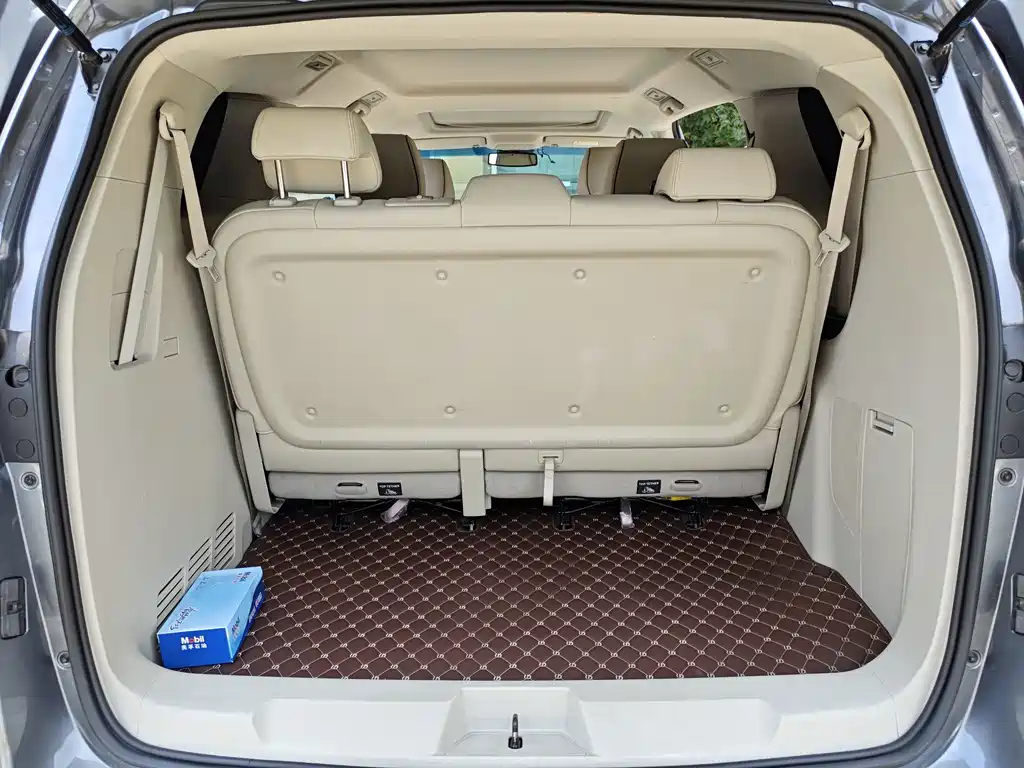 Buick GL8 — миниатюра 14