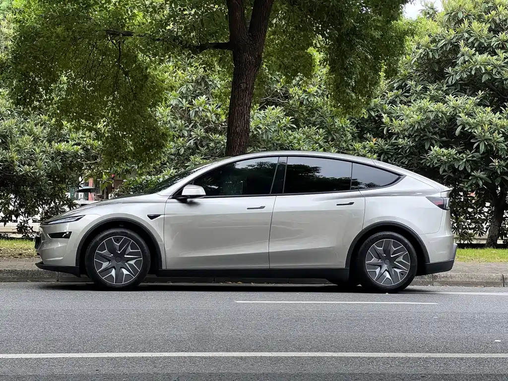 Tesla Model Y L — миниатюра 7