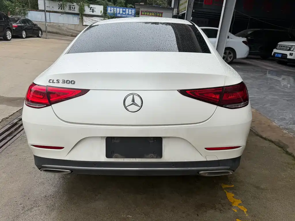 Mercedes-Benz CLS — миниатюра 11