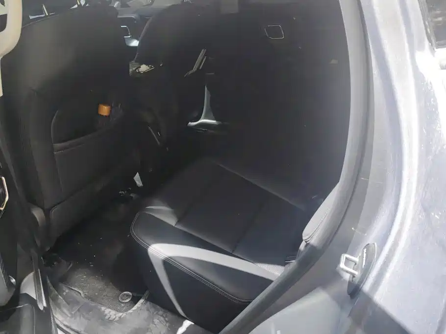 Haval Big Dog PLUS — миниатюра 11