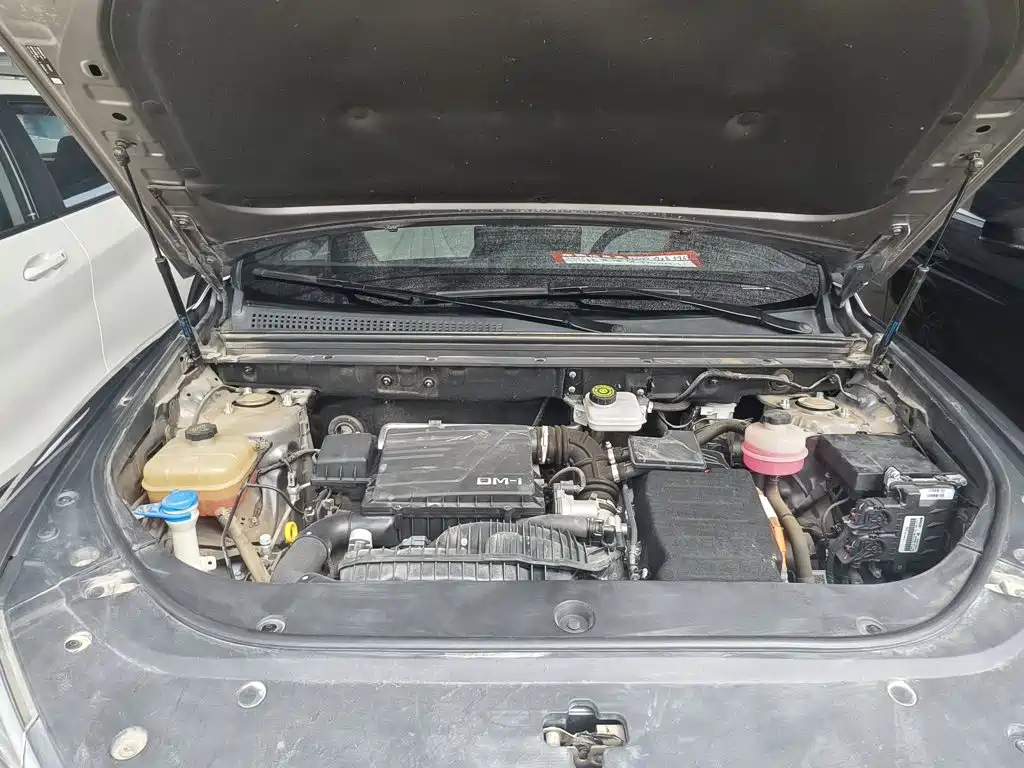 BYD Pro New Energy — миниатюра 16