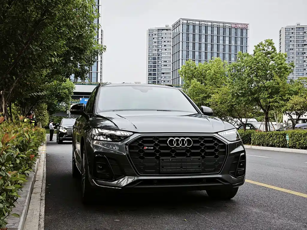 Audi SQ5 — миниатюра 3