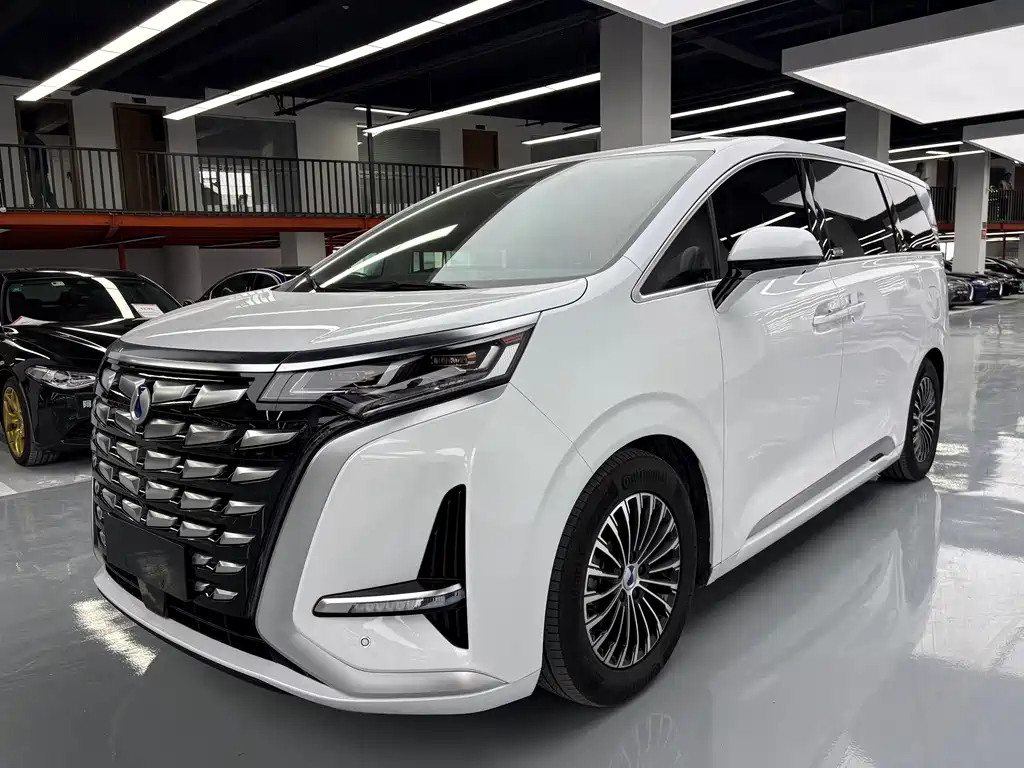 2024 Denza D9 - zdjęcie 1 z 21