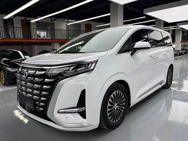 2024 Denza D9
