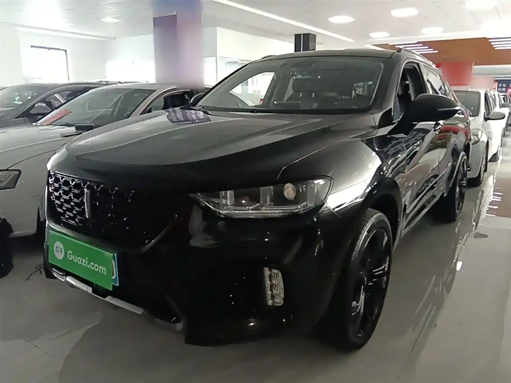 Купить Wey Wey VV5