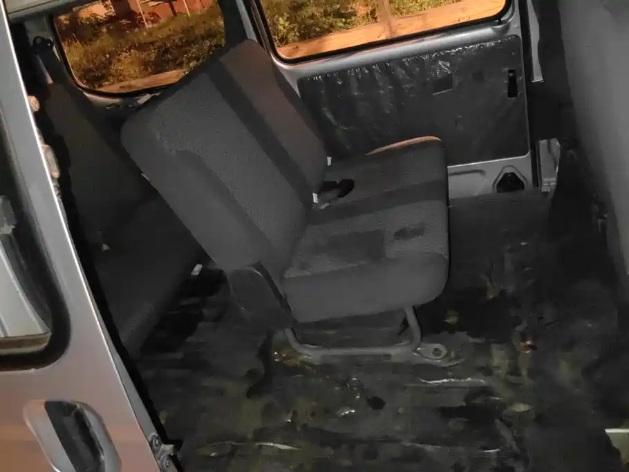 Wuling Zhiguang — миниатюра 11