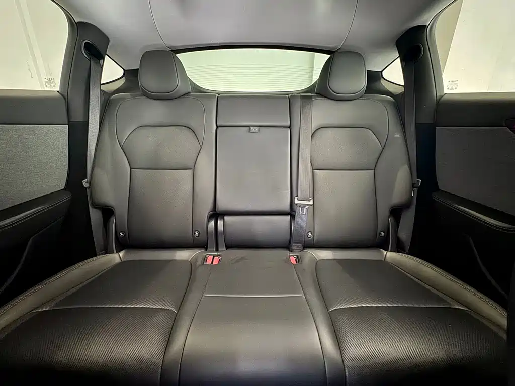 Tesla Model Y — миниатюра 9