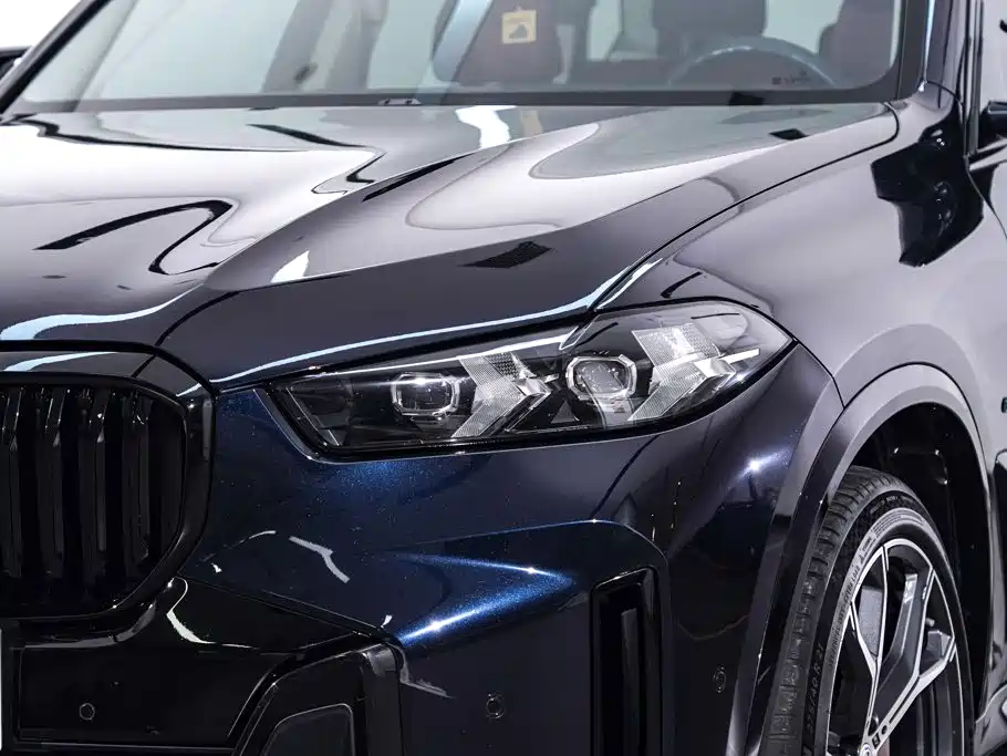 BMW X5 — миниатюра 10