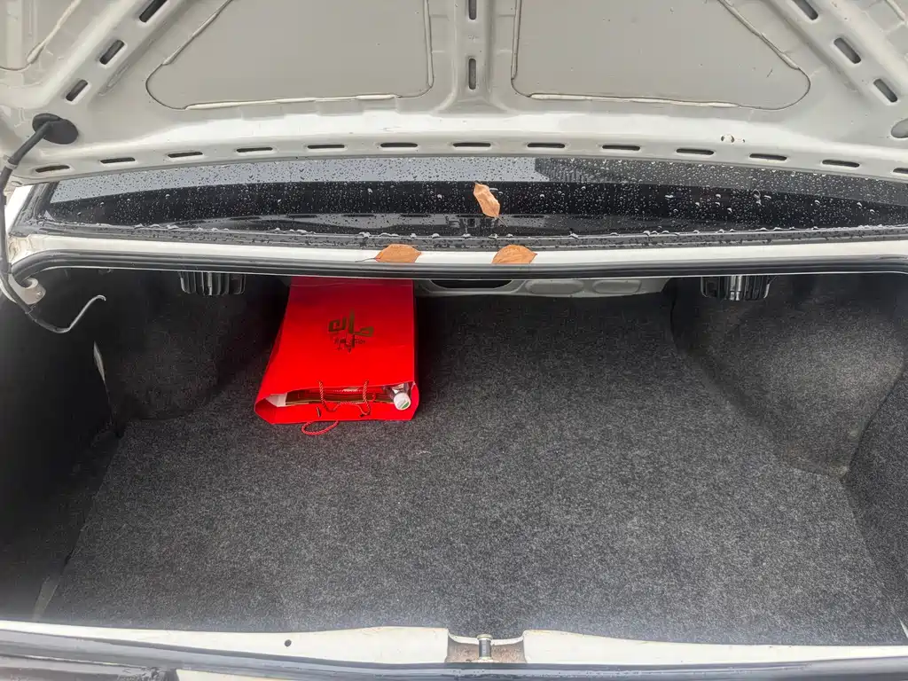 Volkswagen Santana Classic — миниатюра 15