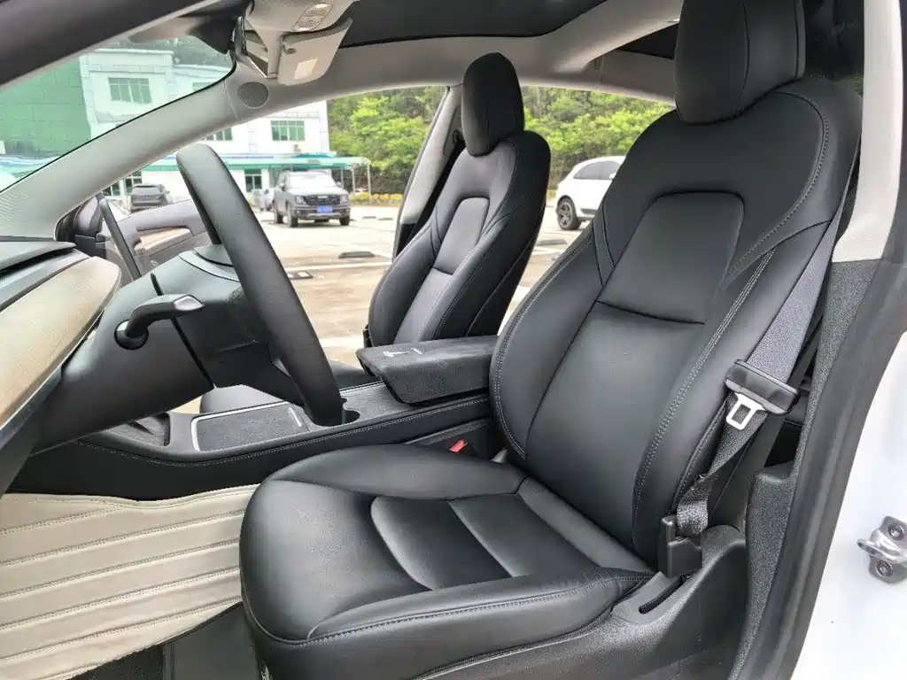 Tesla Model 3 — миниатюра 5