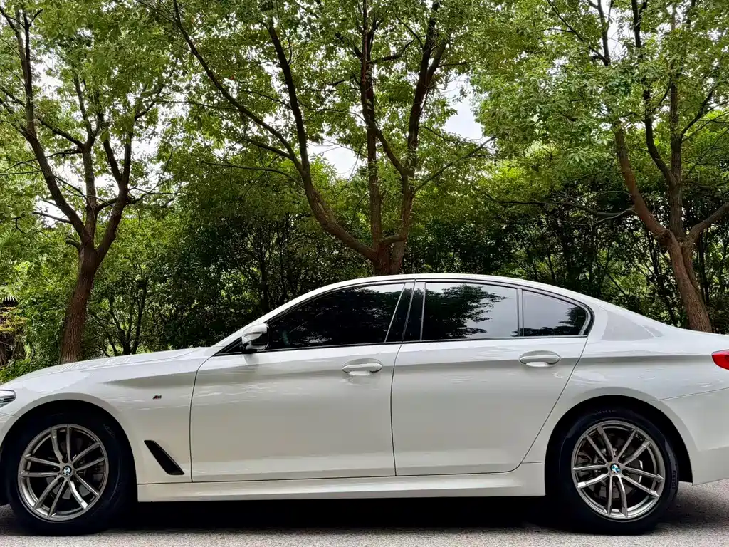 BMW 5 Series (Import) — миниатюра 3
