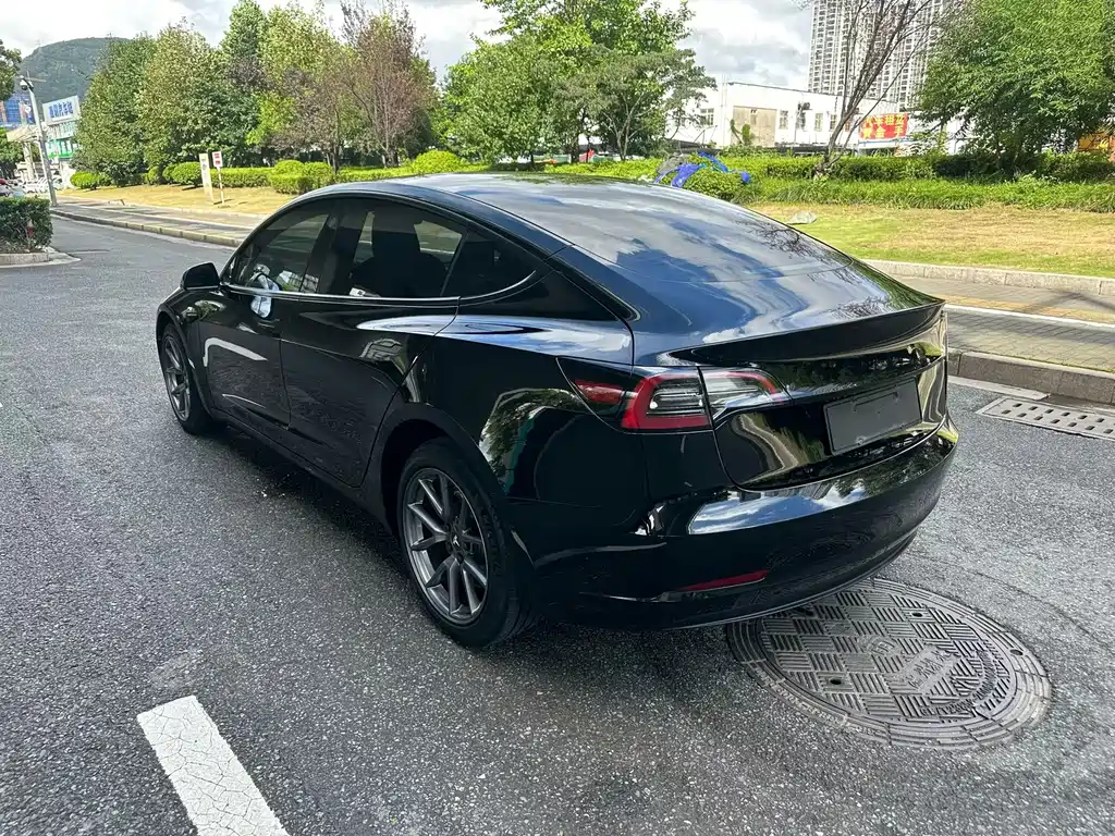 Tesla Model 3 — миниатюра 4