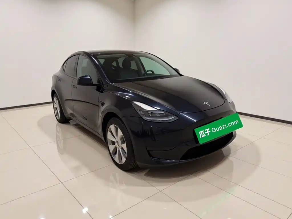 Tesla Model Y — миниатюра 23