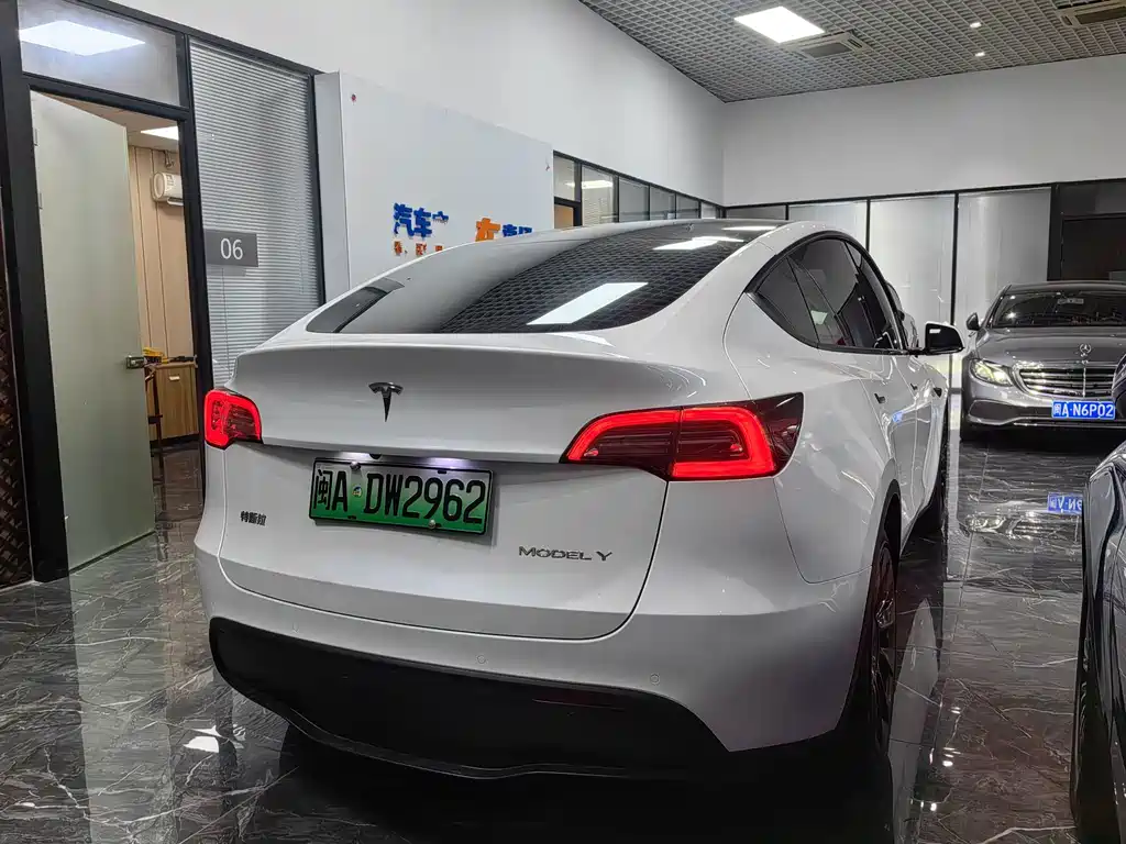 Tesla Model Y — миниатюра 4