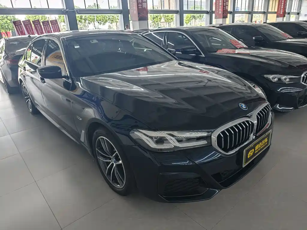 BMW 5 Series New Energy — миниатюра 3