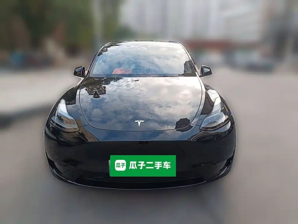 Tesla Model Y — миниатюра 24