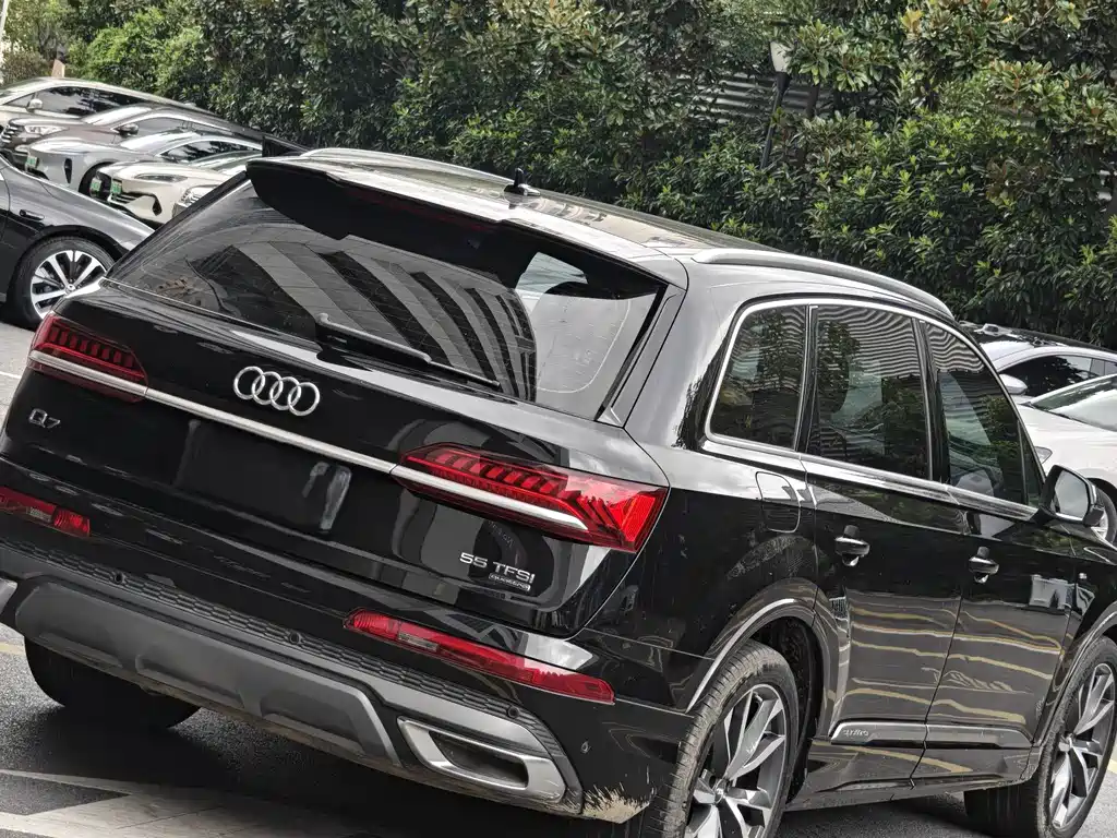 Audi Q7 — миниатюра 2