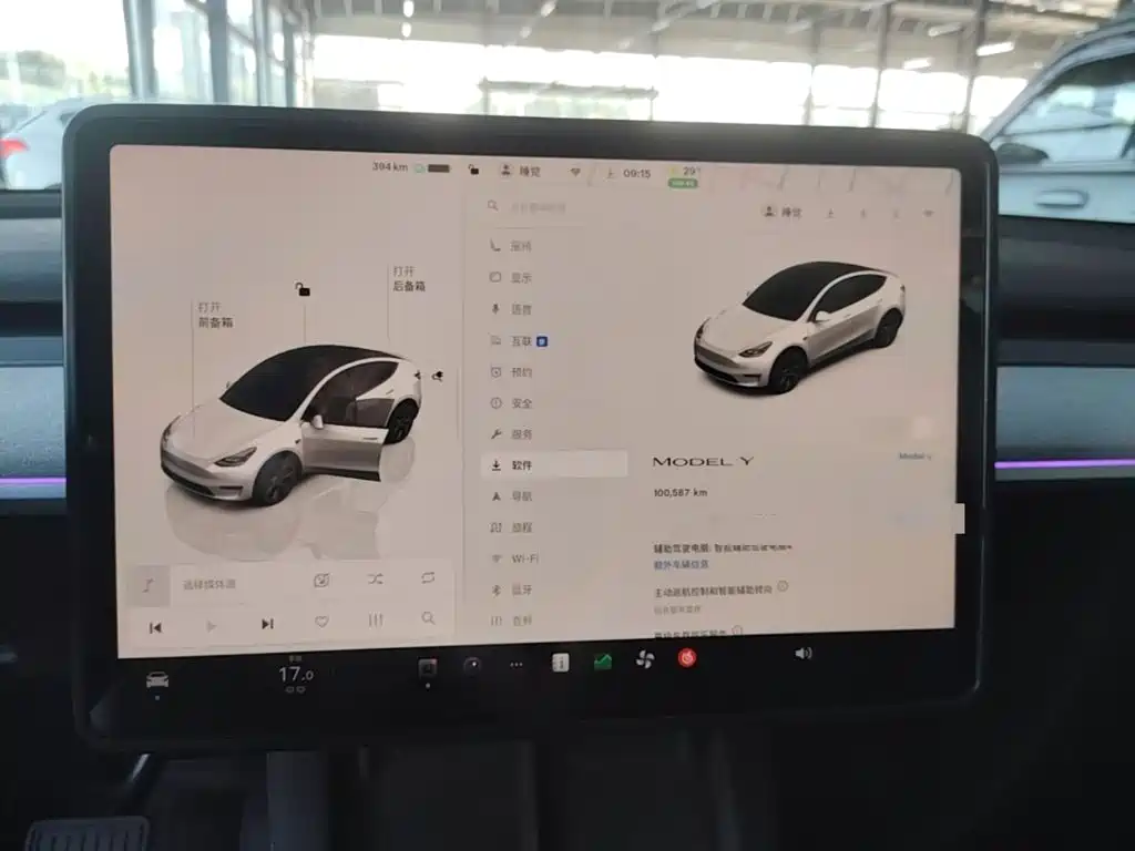 Tesla Model Y — миниатюра 12