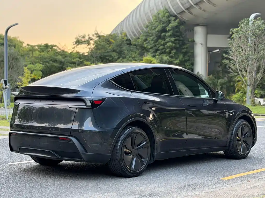 Tesla Model Y — миниатюра 13