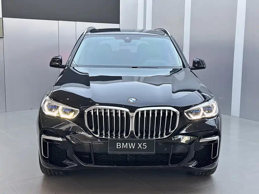 BMW X5 — миниатюра 2