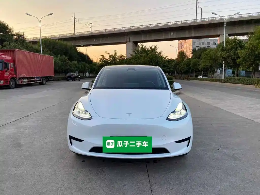 Tesla Model Y — миниатюра 3