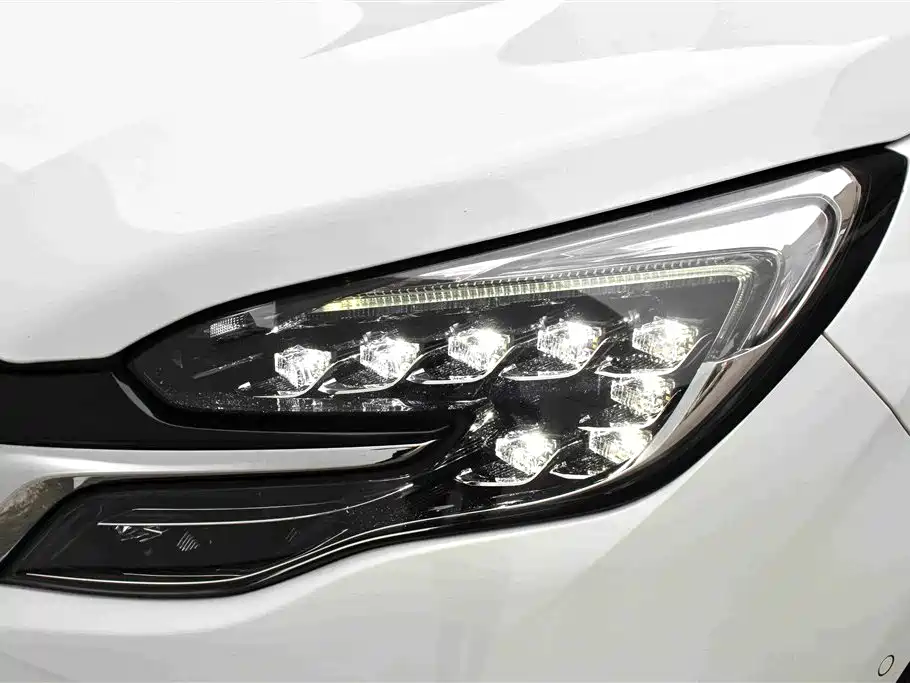 Buick GL8 — миниатюра 14