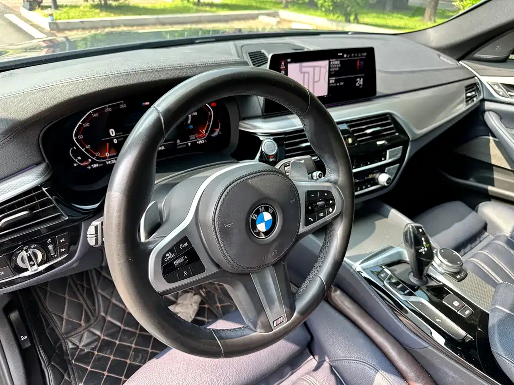BMW 5 Series (Import) — миниатюра 11