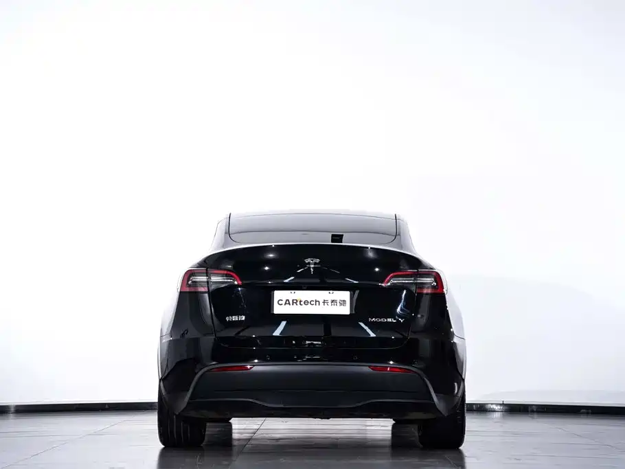 Tesla Model Y — миниатюра 7
