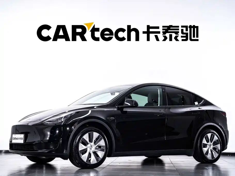 Tesla Model Y — миниатюра 2