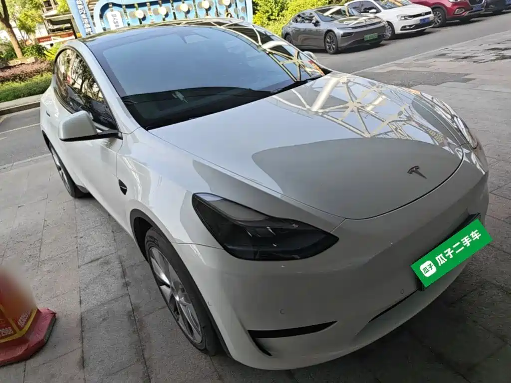 Tesla Model Y — миниатюра 4