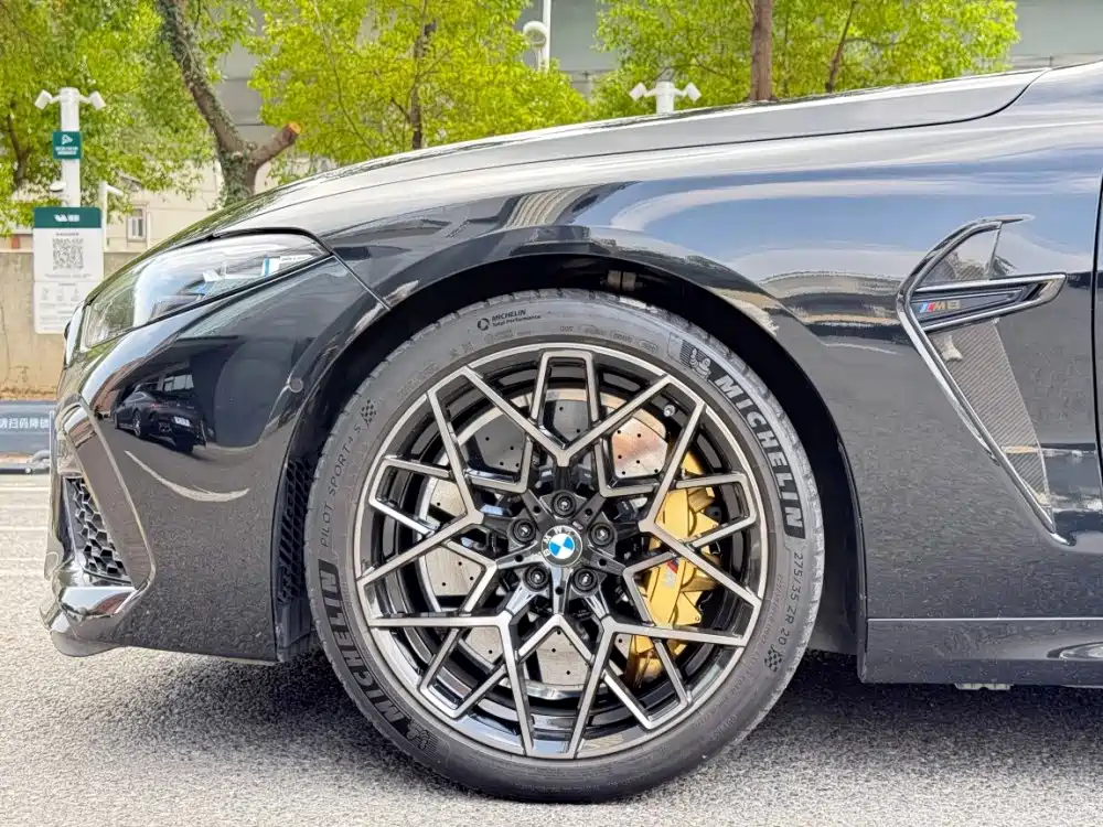 BMW M8 — миниатюра 11