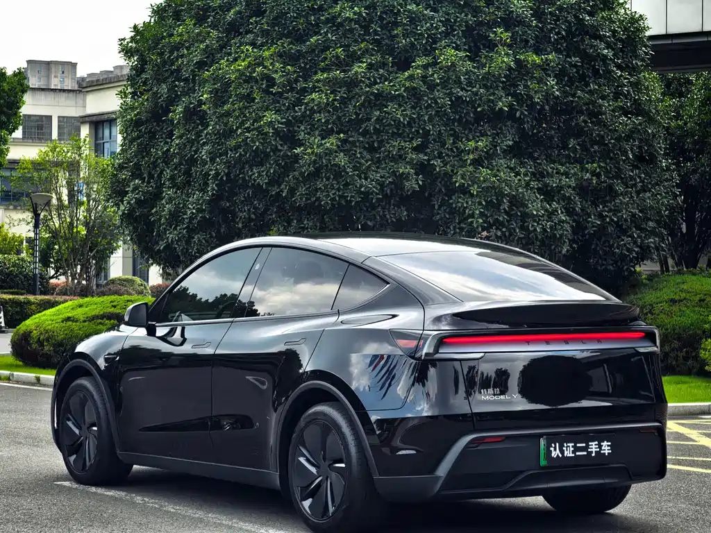 Tesla Model Y — миниатюра 9