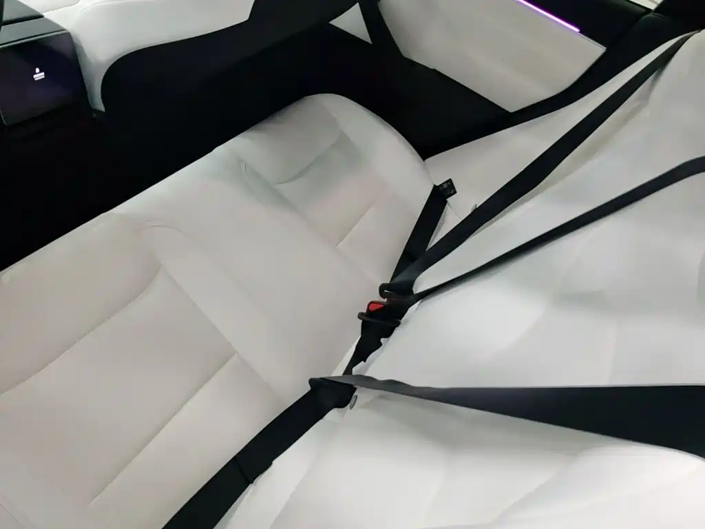 Tesla Model 3 — миниатюра 17