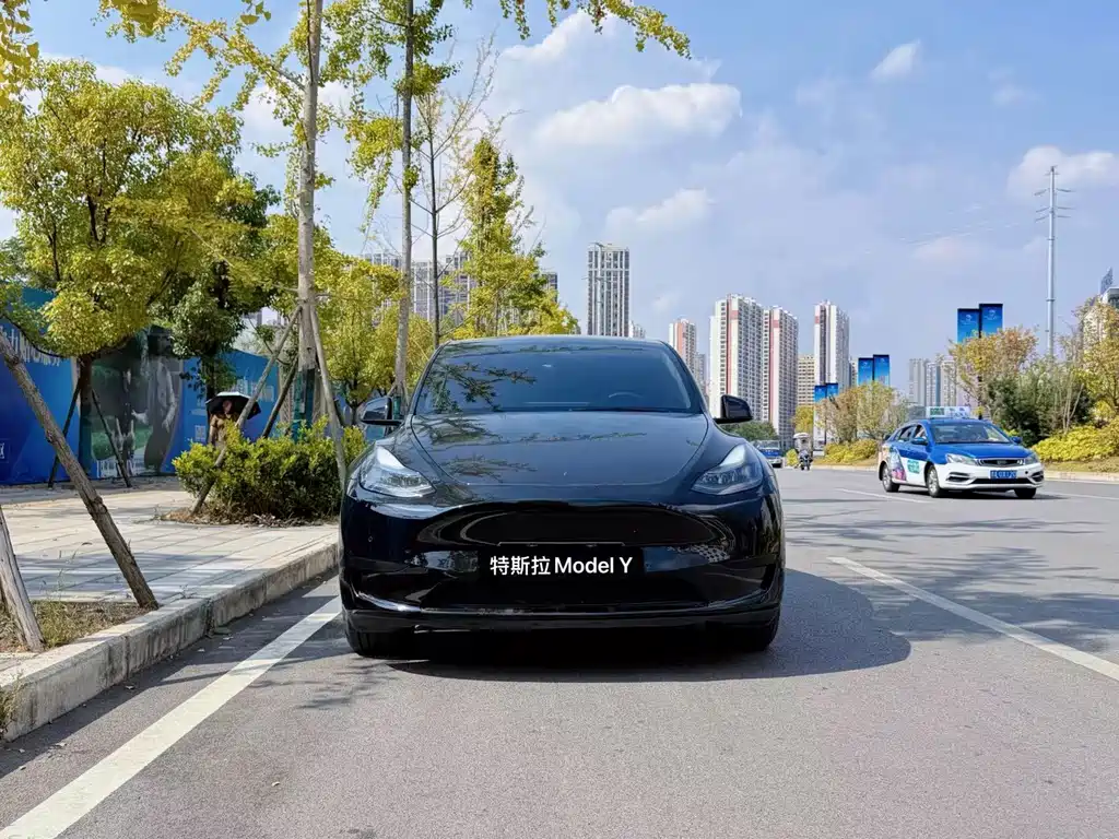 Tesla Model Y — миниатюра 2