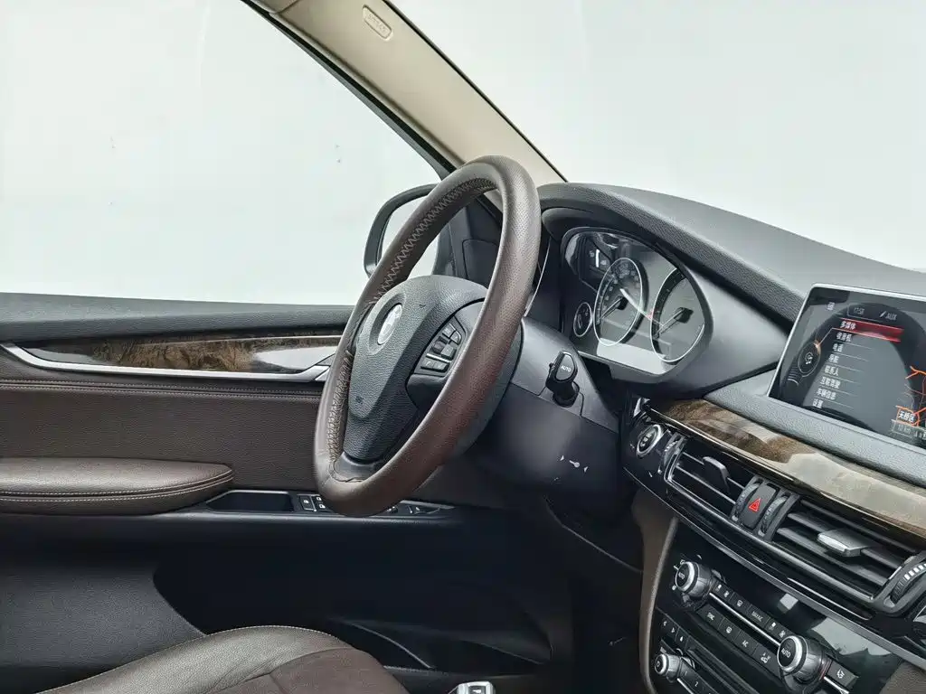 BMW X5 (Import) — миниатюра 22