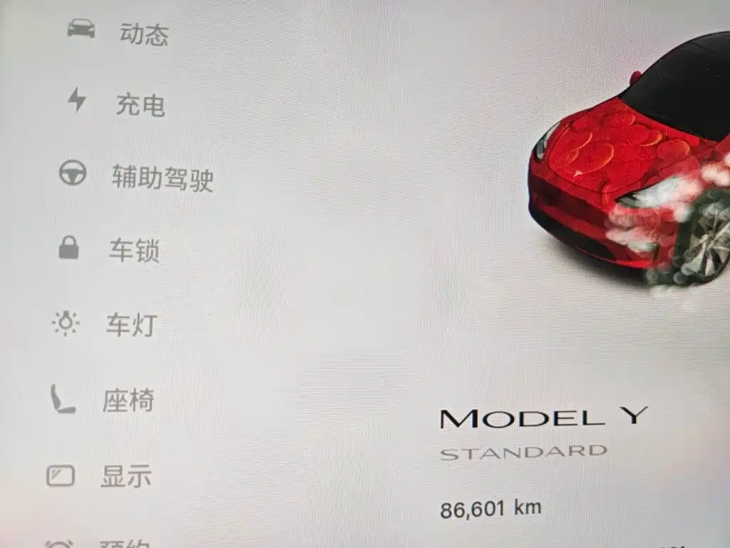 Tesla Model Y — миниатюра 5