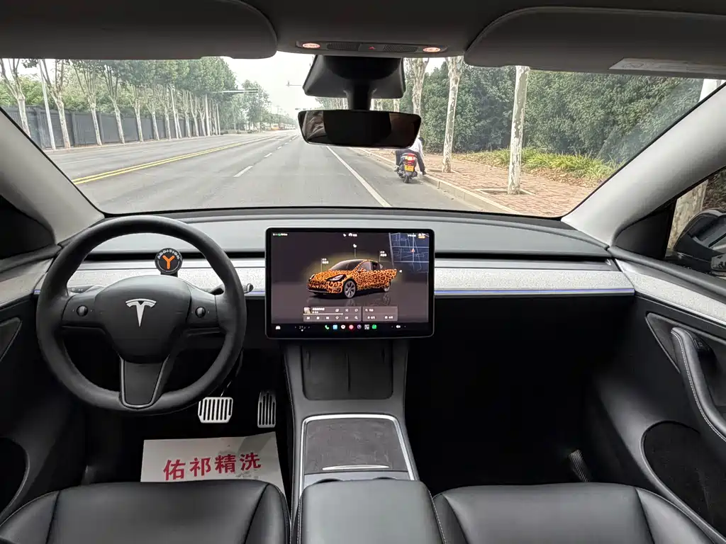 Tesla Model Y — миниатюра 9