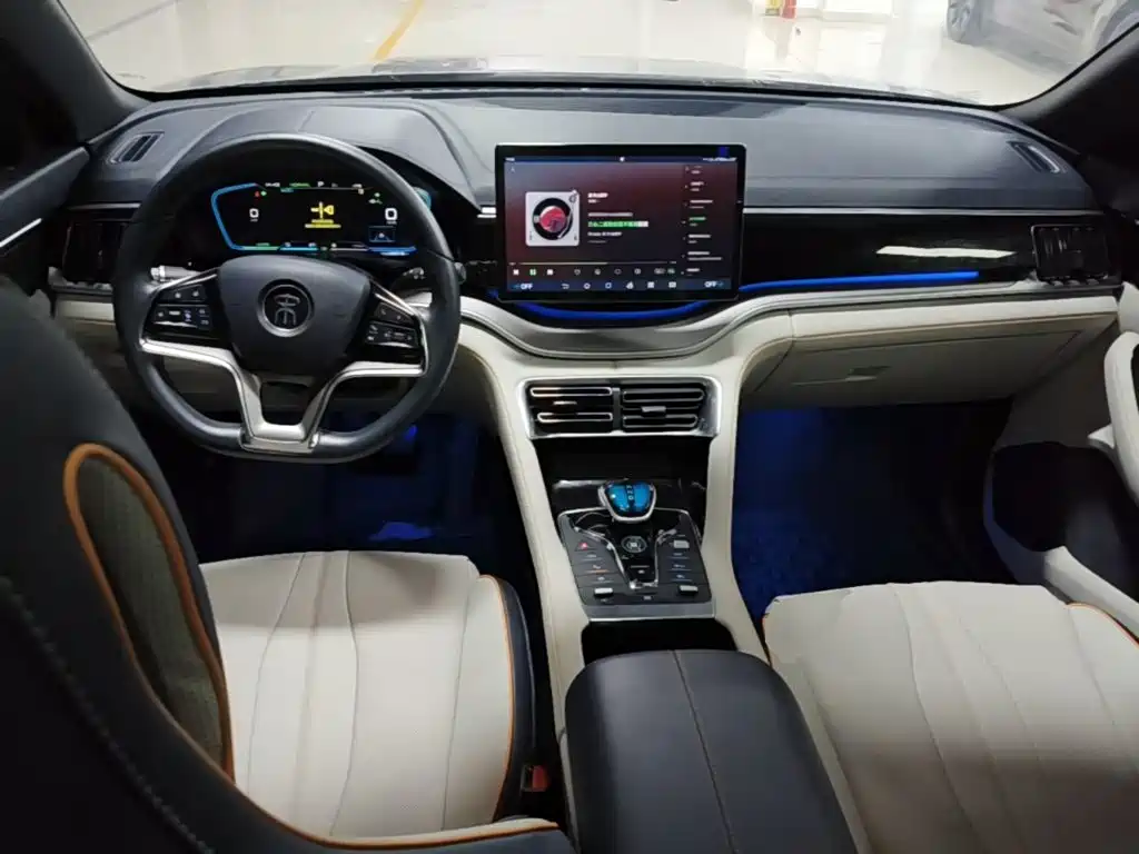 BYD PLUS New Energy — миниатюра 10