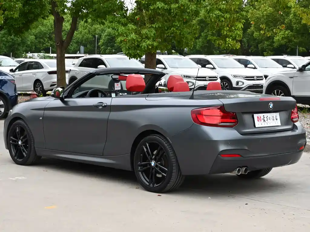 BMW 2 Series (Import) — миниатюра 3