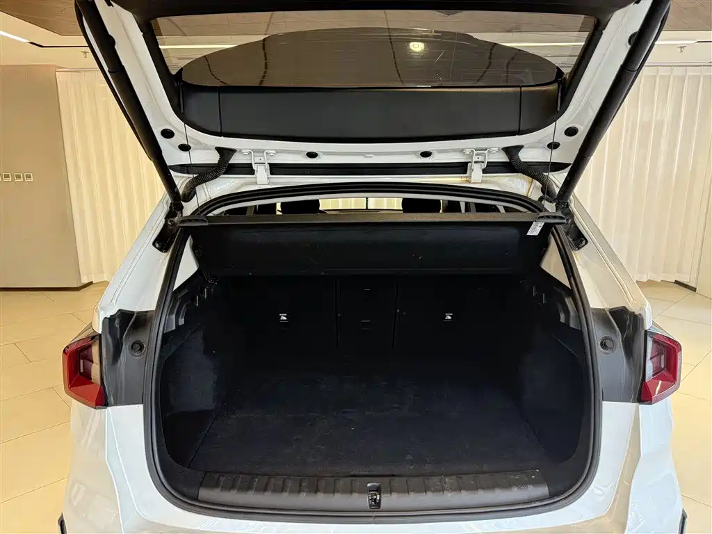 BMW X1 2025 sDrive25Li X