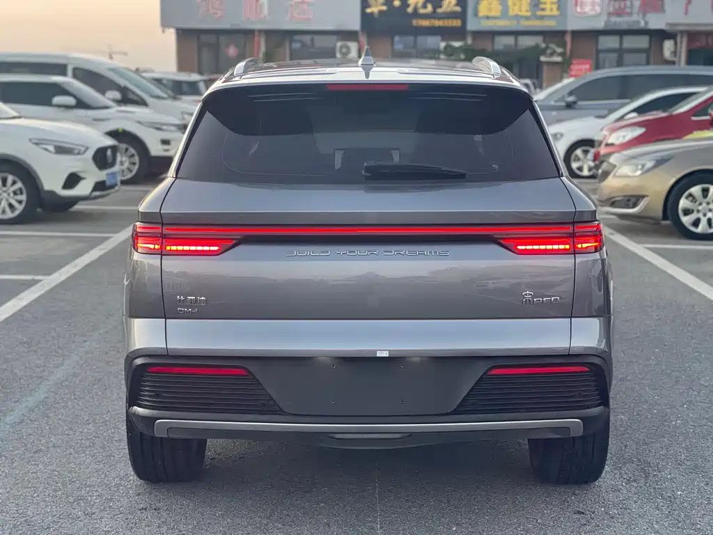 BYD Pro New Energy — миниатюра 5