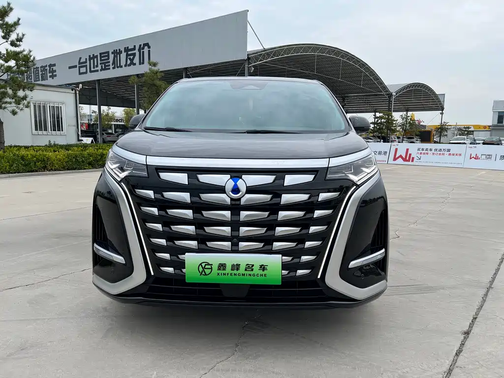 Denza Denza D9 — миниатюра 2