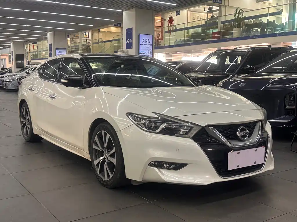 Nissan Cima — миниатюра 3