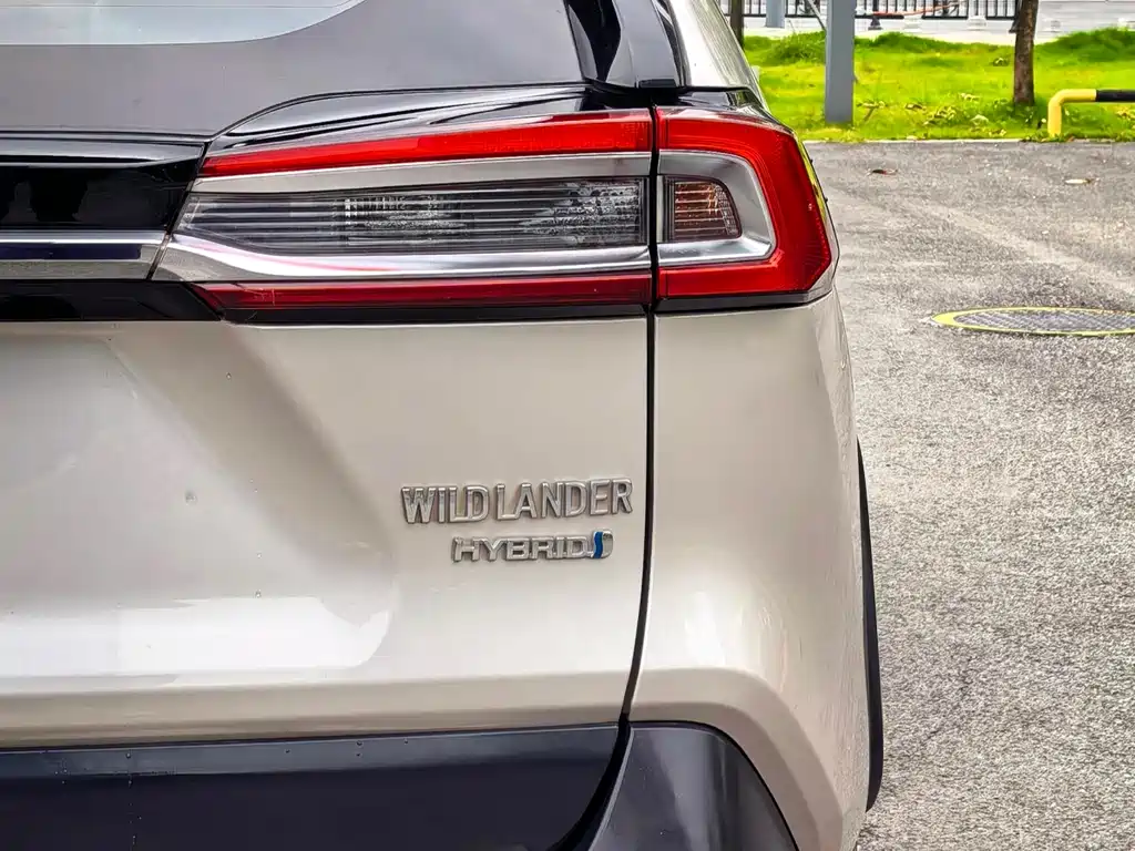 Toyota Wildlander 2020 2.5L E-CVT Luxury