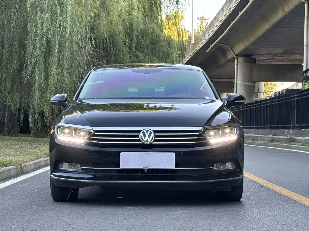 Volkswagen Magotan — миниатюра 2