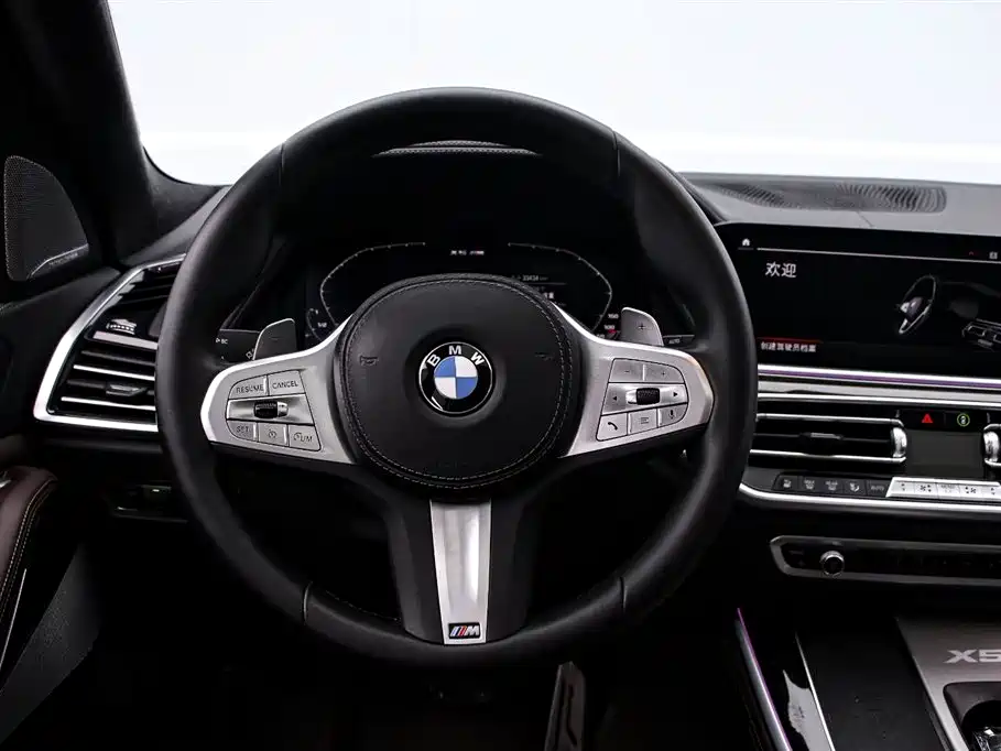 BMW X5 2022 xDrive 40Li M Sport