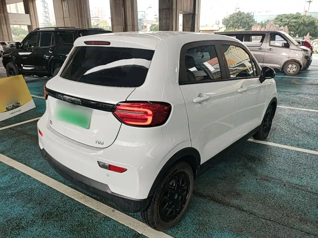Leapmotor T03 2023 310