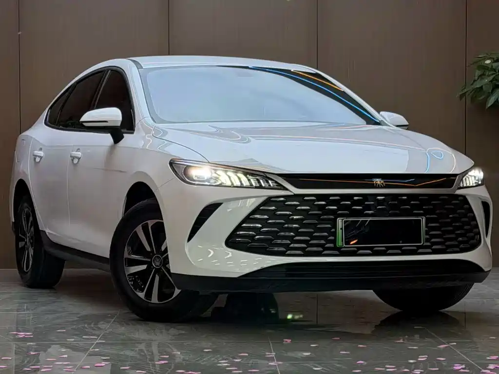 BYD Qin PLUS — миниатюра 3